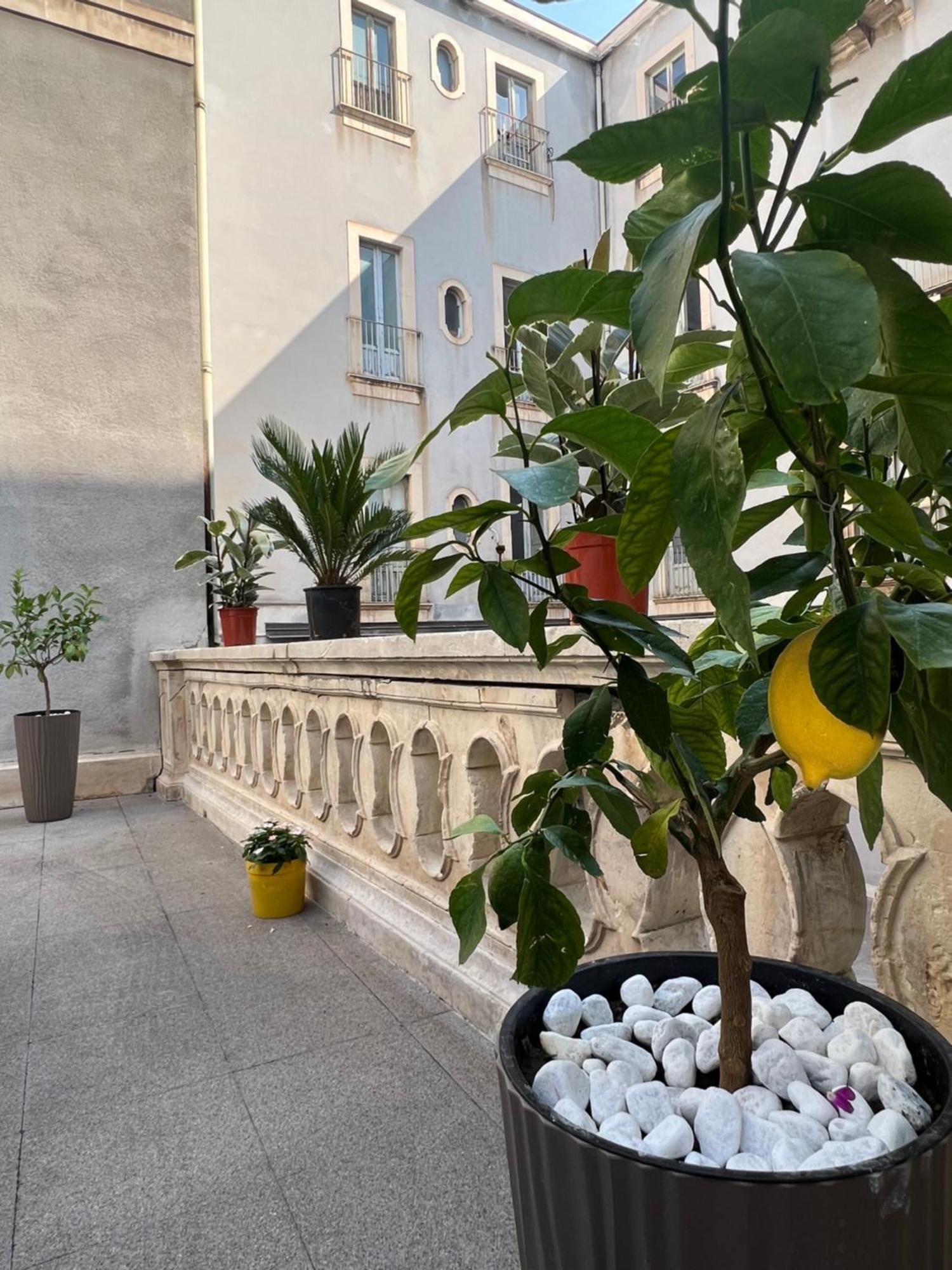 Pensión San Giuliano Palace